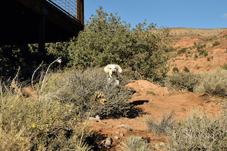 landscape photo