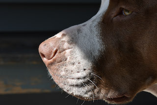 portrait Thumbnail